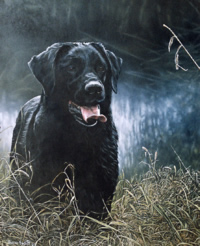 Labrador Painting