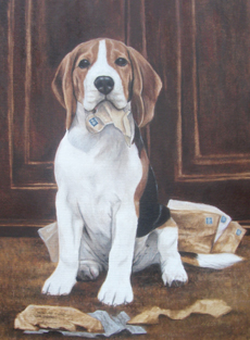 Beagle