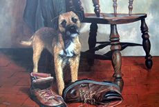 Border Terrier