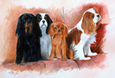 Cavalier King Charles