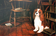 Cavalier King Charles