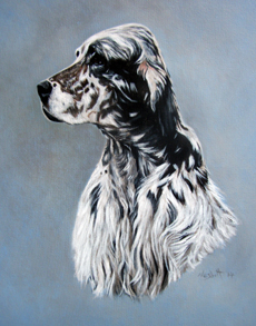 English Setter