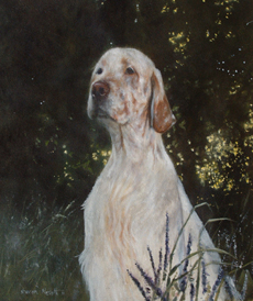 English Setter