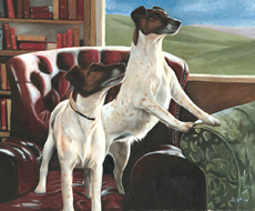 Fox Terrier