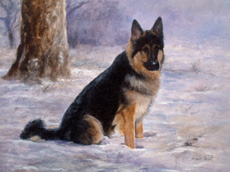 German Shepherd