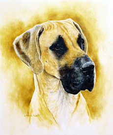 Great Dane