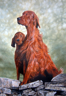 Irish Setter