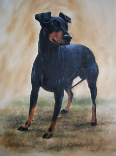 Manchester Terrier