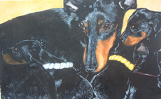 Manchester Terrier