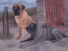 Mastiff 