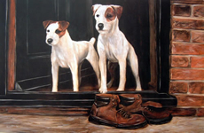 Parson Russell Terrier