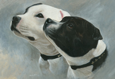 Staffordshire Bull Terrier