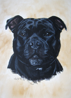 Staffordshire Bull Terrier