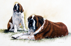 St Bernard